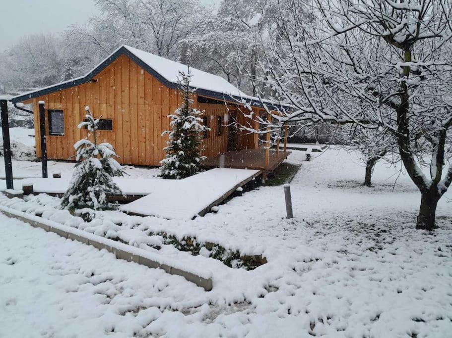 Nica Wood Villa Sremska Kamenica Exterior photo