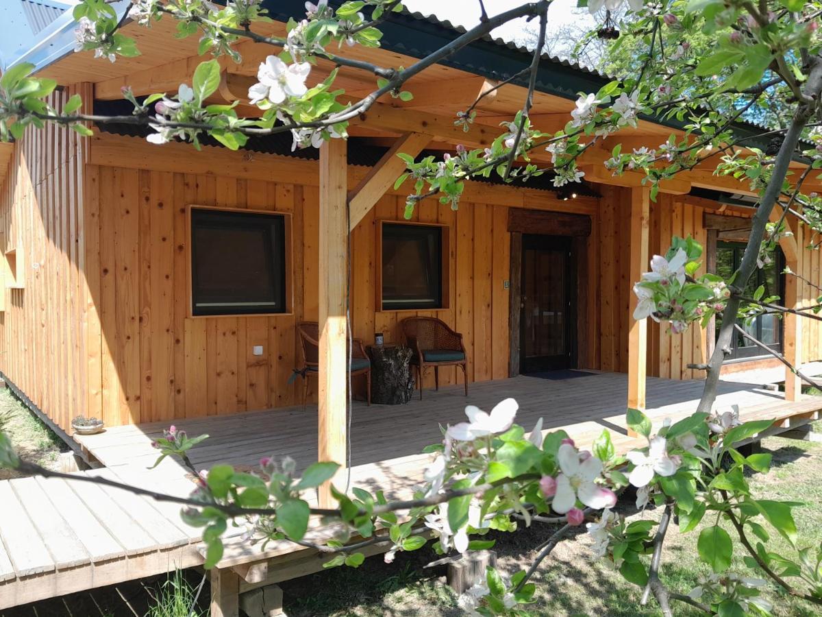 Nica Wood Villa Sremska Kamenica Exterior photo
