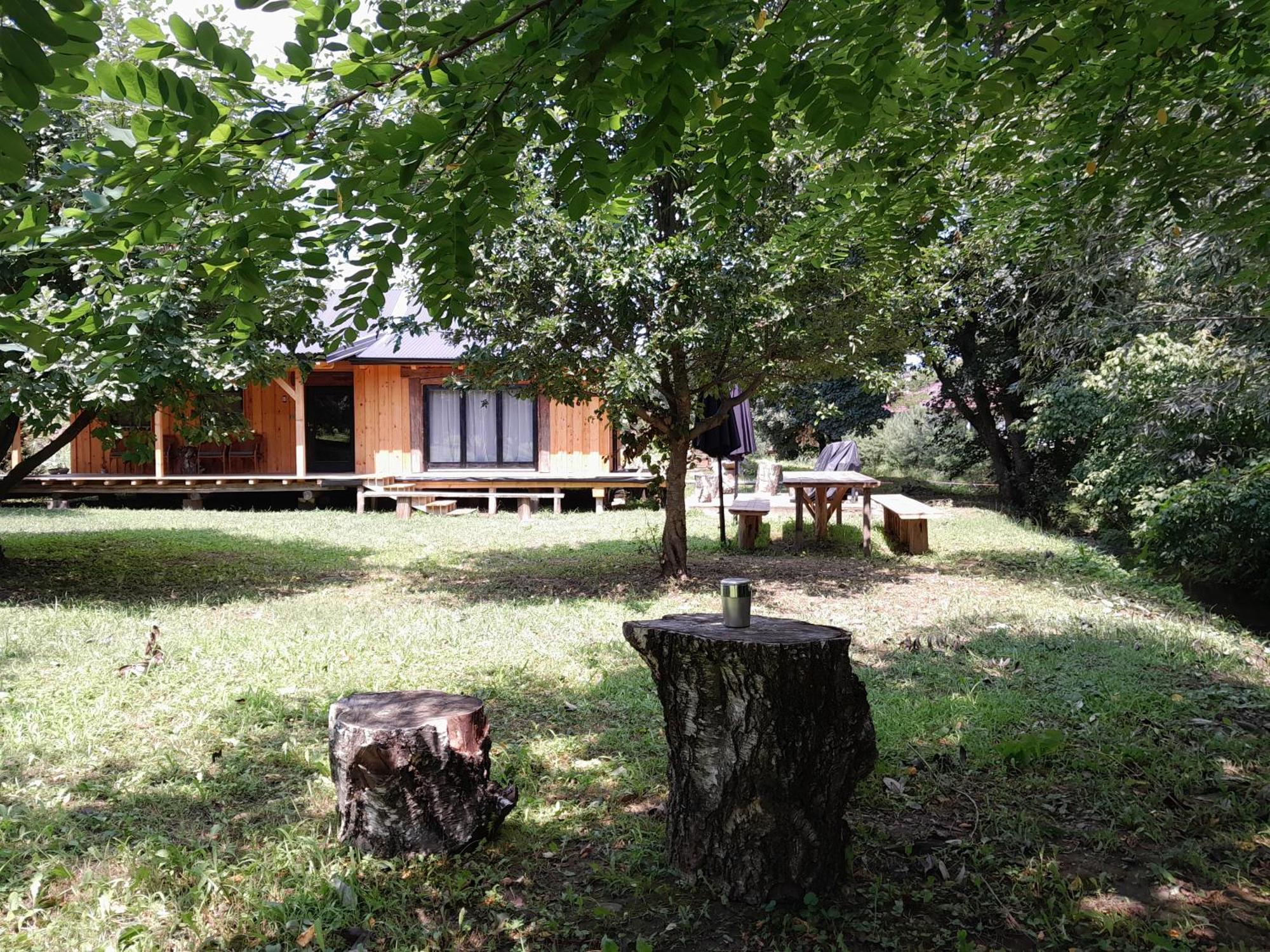 Nica Wood Villa Sremska Kamenica Exterior photo